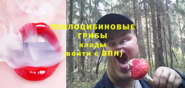 соль ск Алексин