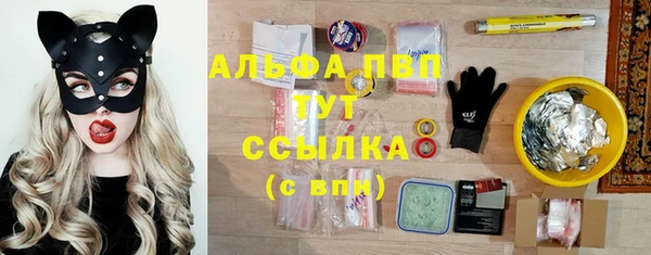 соль ск Алексин