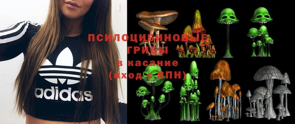 спайс Алзамай