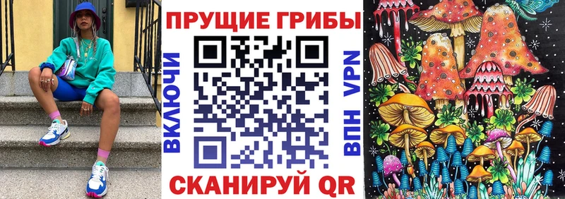 MEGA зеркало  darknet как зайти  Псилоцибиновые грибы GOLDEN TEACHER  где найти наркотики  Пущино 